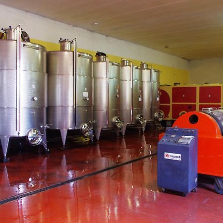 Cascina Bertolotto Wine Resort Spigno Monferrato Экстерьер фото