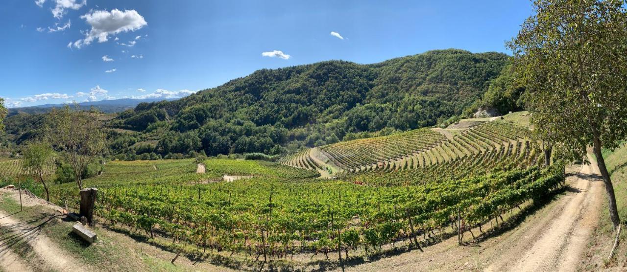 Cascina Bertolotto Wine Resort Spigno Monferrato Экстерьер фото