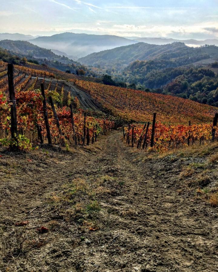 Cascina Bertolotto Wine Resort Spigno Monferrato Экстерьер фото