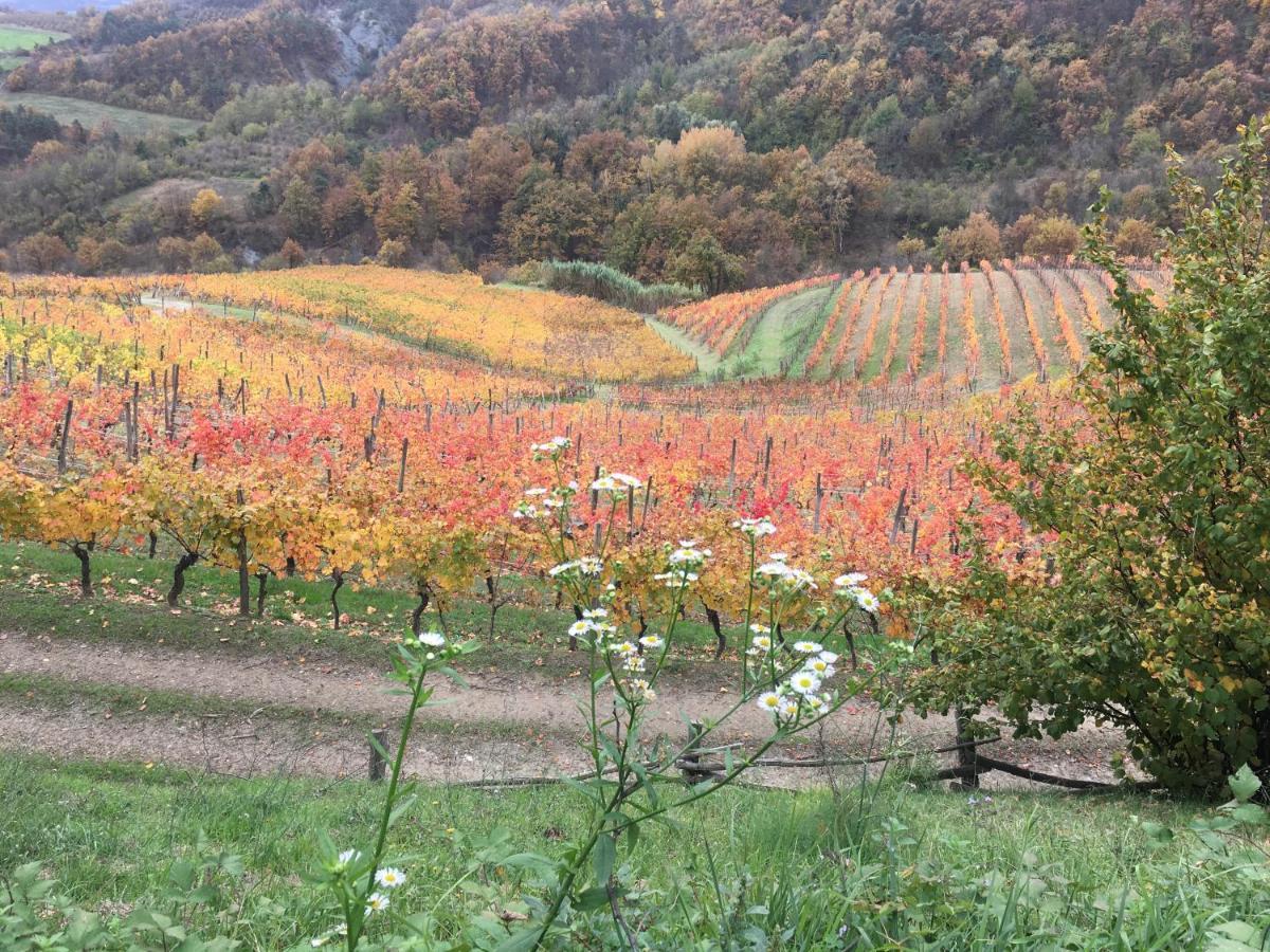 Cascina Bertolotto Wine Resort Spigno Monferrato Экстерьер фото