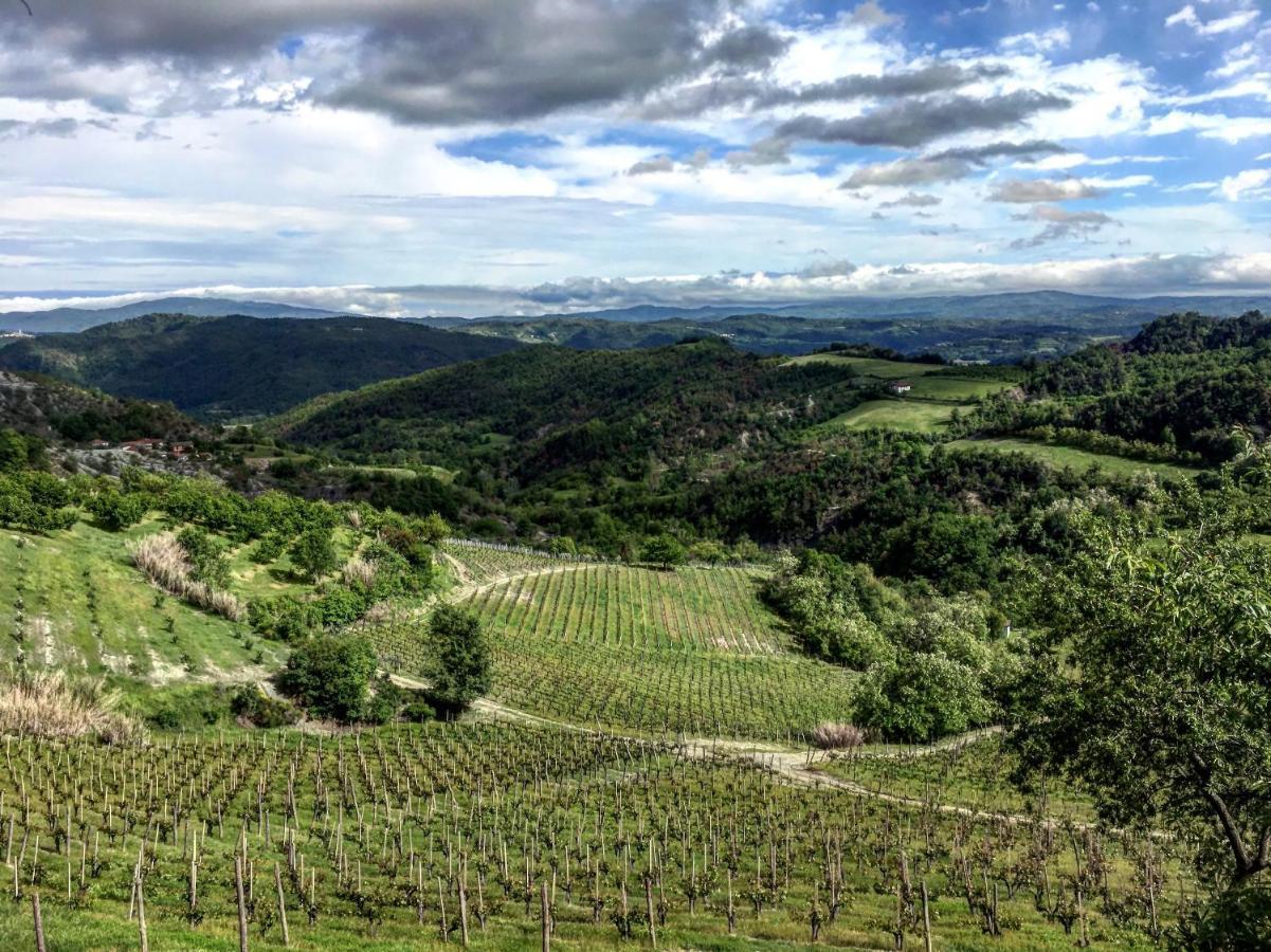 Cascina Bertolotto Wine Resort Spigno Monferrato Экстерьер фото