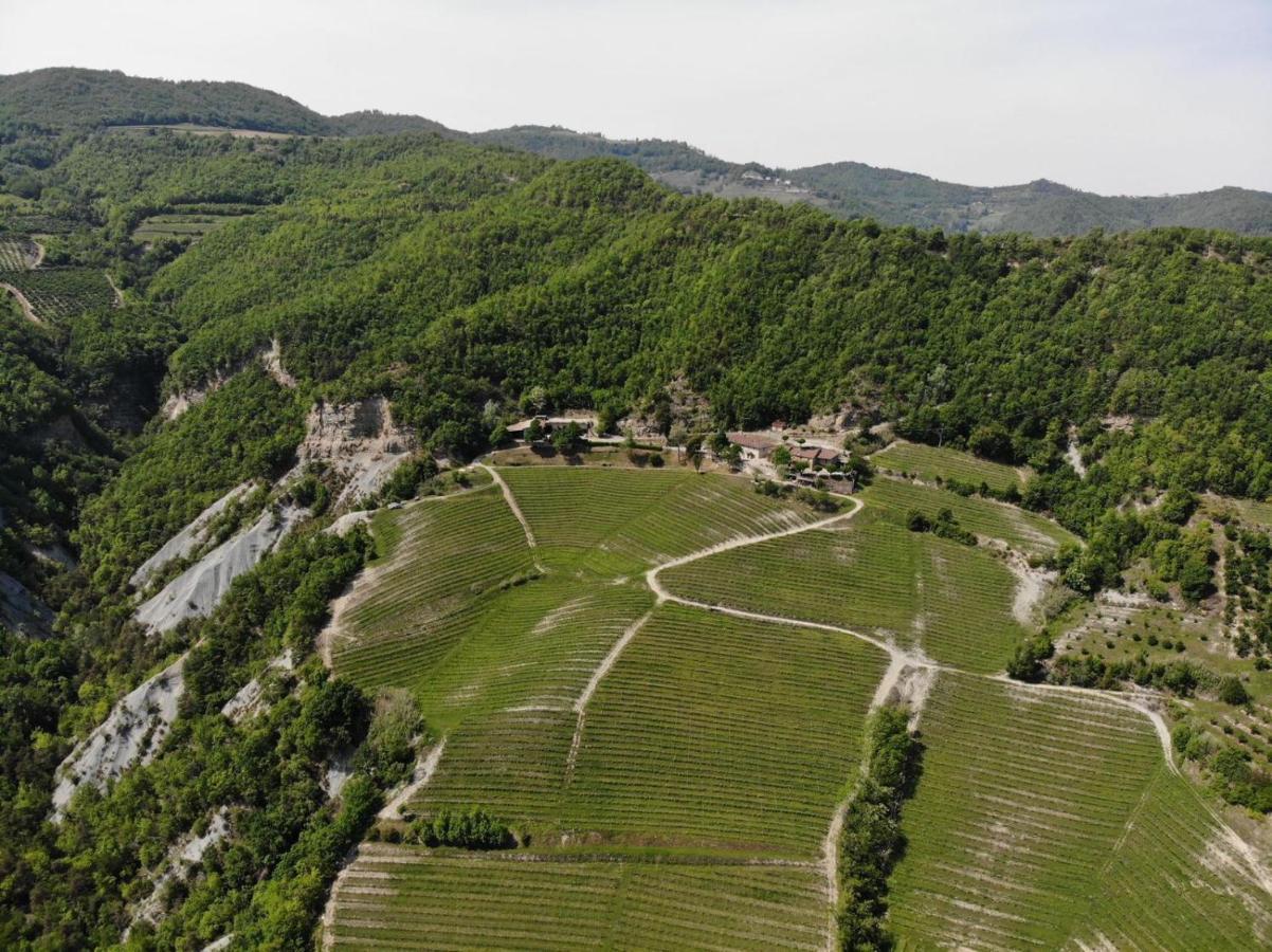 Cascina Bertolotto Wine Resort Spigno Monferrato Экстерьер фото