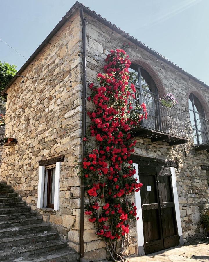 Cascina Bertolotto Wine Resort Spigno Monferrato Экстерьер фото