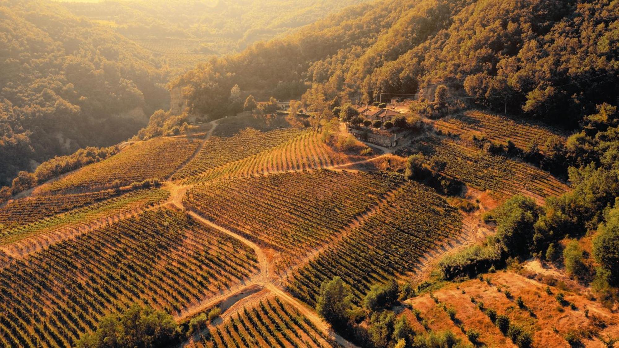 Cascina Bertolotto Wine Resort Spigno Monferrato Экстерьер фото